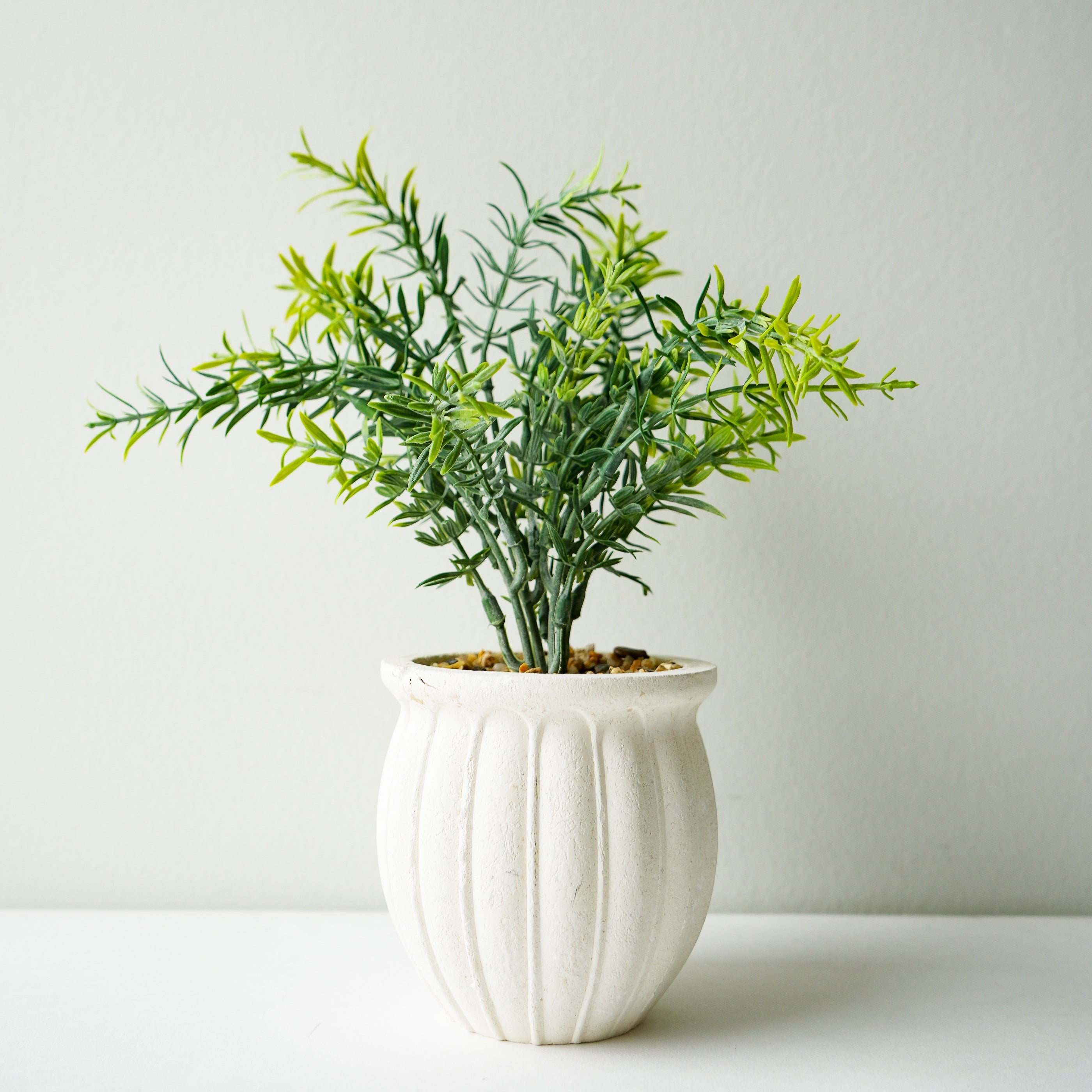 Bouquet de romarin en pot