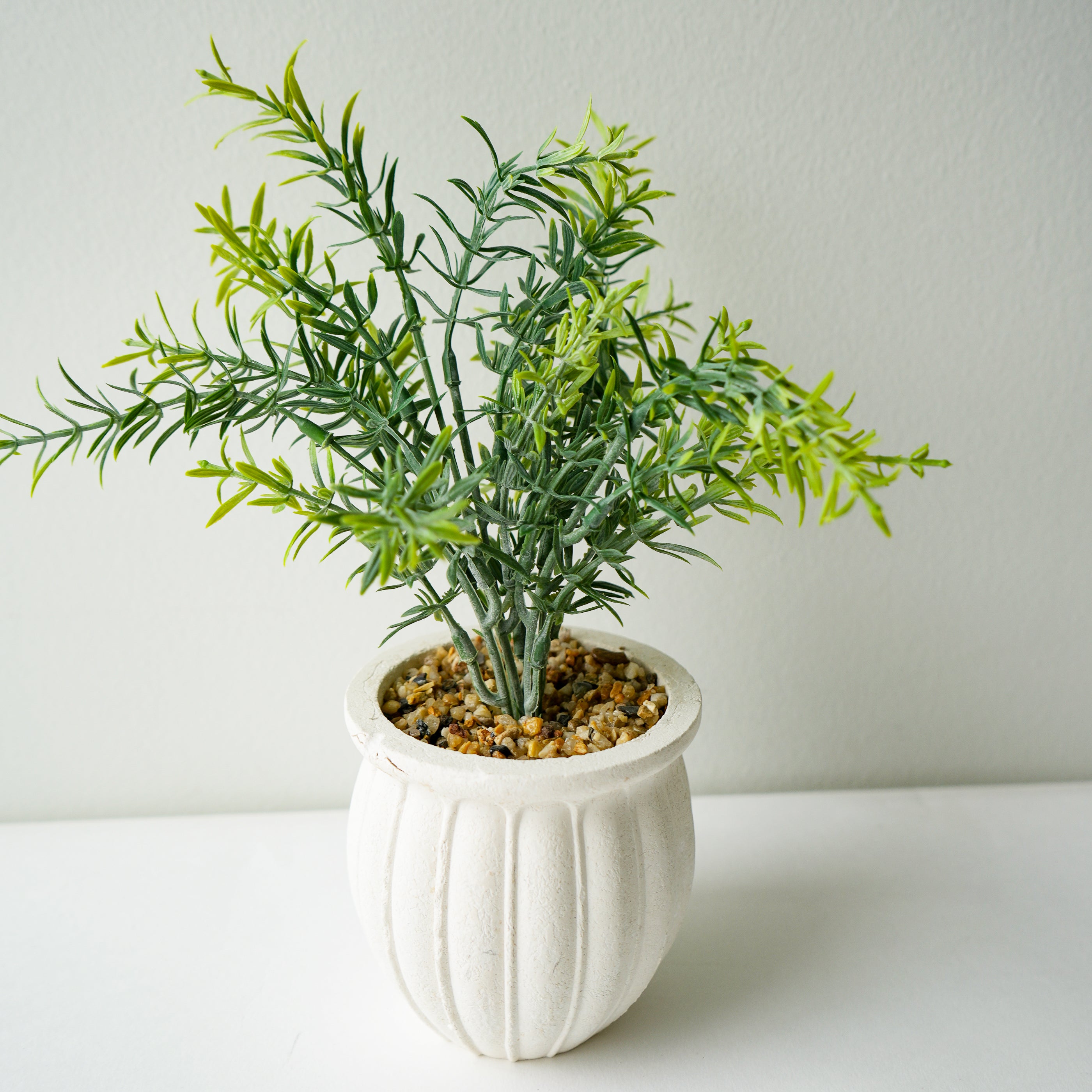 Bouquet de romarin en pot
