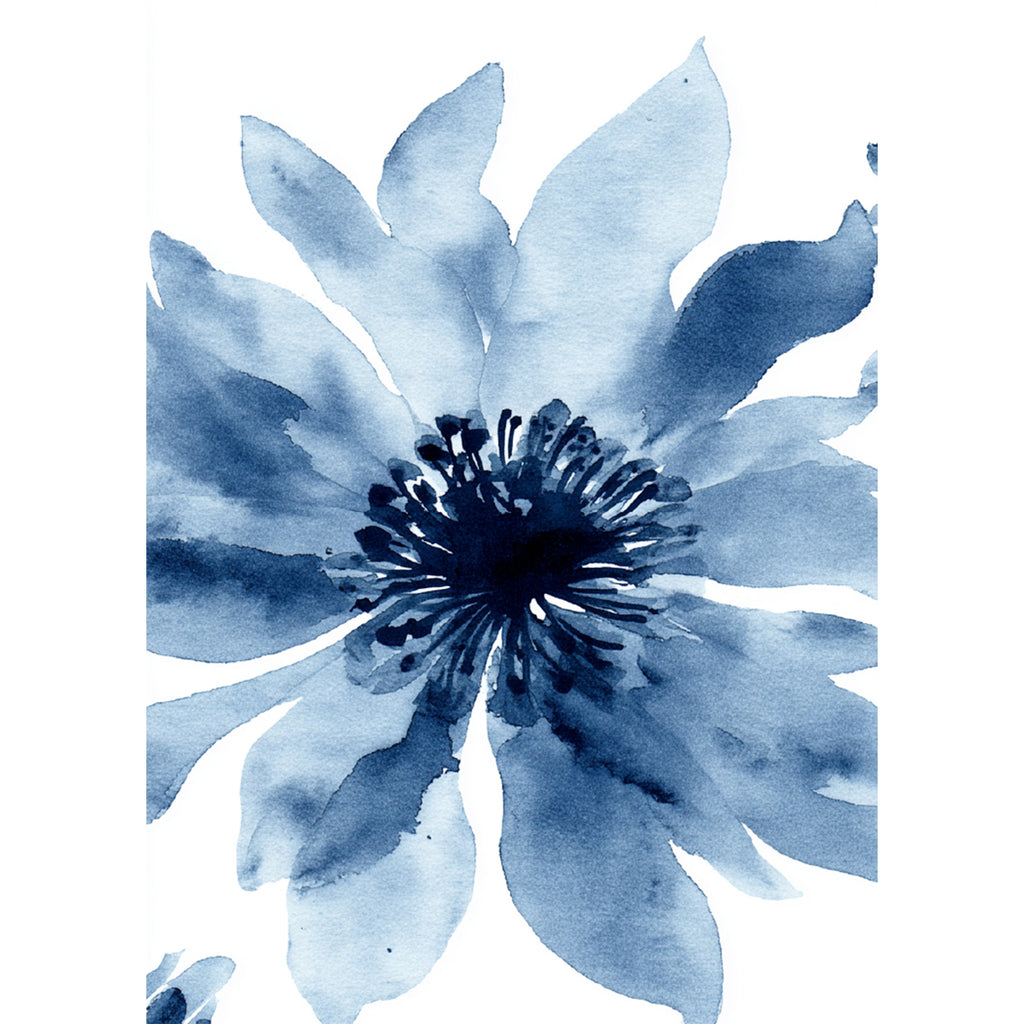 Cadre naturel 5x7 - 2 images